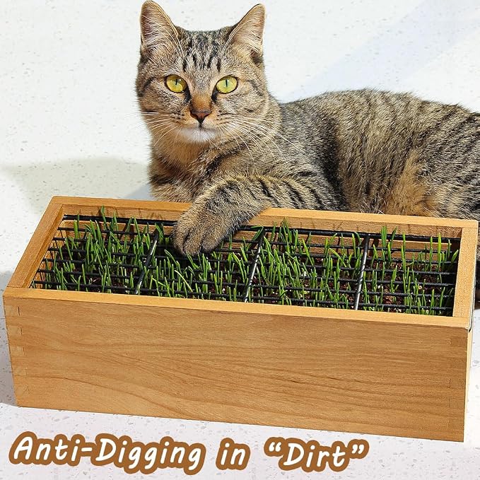 Wooden Cat Grass Planter (no Seeds Included) Anti Digging Design | with Potting Soil Disks, Anti-Digging Grid and Removable Plastic Liner, Wheat Grass Growing Pot for Indoor Cats Rabbits Pets