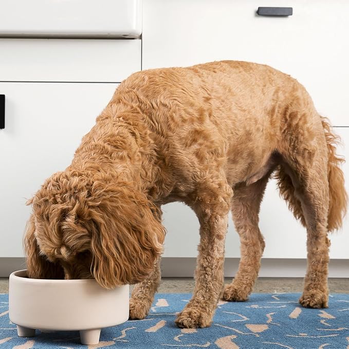 Waggo Uplift Ceramic Dog Bowl for Small Medium and Large Breeds - Heavyweight and Durable Pet Food and Water Dish Crock, Dishwasher Safe, Modern, Elevated Feeder (Clay, Large)