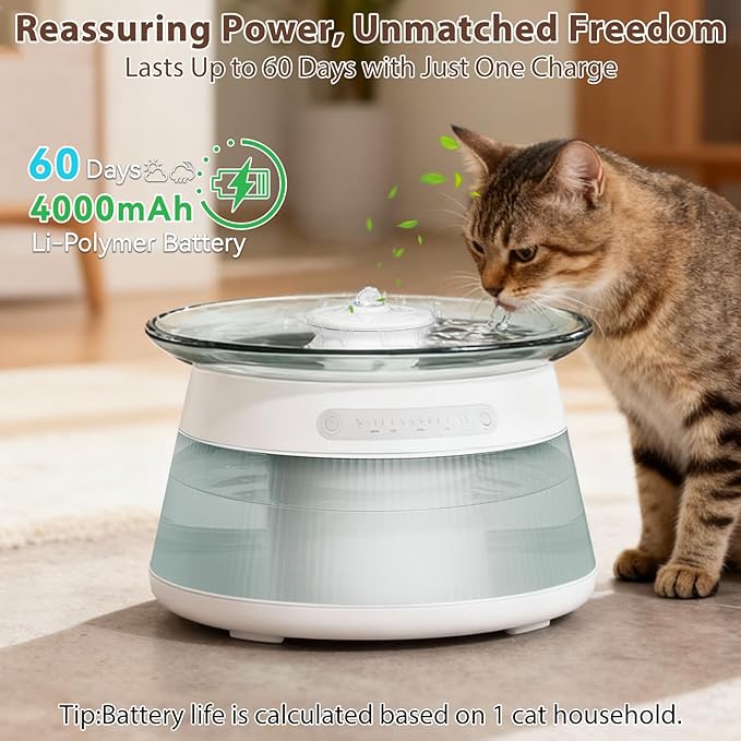 Glass Smart Cat Water Fountain, Cordless Filterless Cat Drinking Fountain No Filter Needed, Ultra Silent Wireless Pet Water Dispenser Bowl Indoor