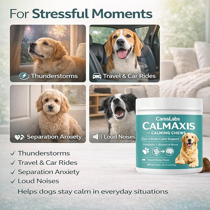 Calmaxis Chews, Postbiotic Chews for Dogs, Supports Calm Behavior & Gut Health, Postbiotic Complex & L-Theanine, Natural Chicken Flavor, 60chews for Small & Large Dogs