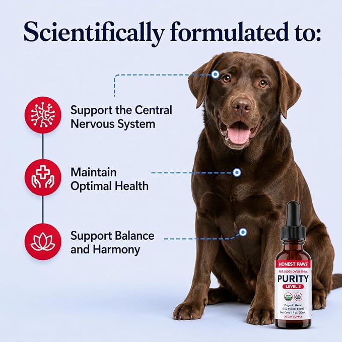 Honest Paws Hemp Oil for Dogs - Natural Hemp Seed Oil Drops Rich in Omega 3 6 9 - May Help Support Calm Behavior, Physical Comfort & Overall Wellness - Made in USA