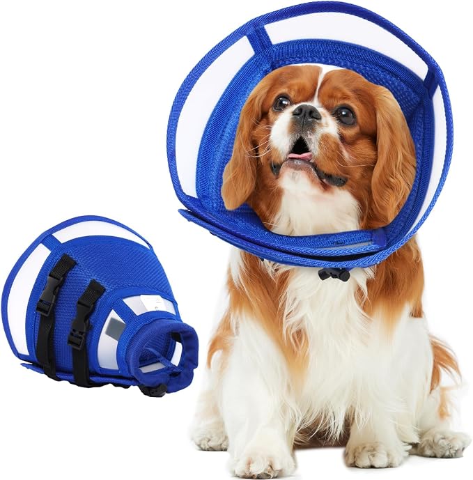 Dog Recovery Collars & Cones, Medium Dog Collar, Blue, L | Adjustable Dog Soft Cone, Stop Licking Wounds After Surgery & Skin Disease, Lightweight, Comfortable Elizabethan Collar