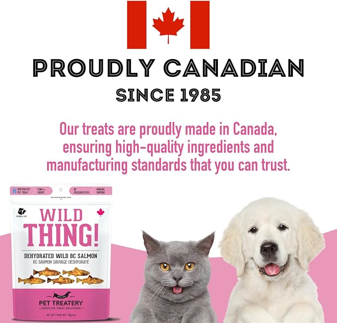 The Granville Island Pet Treatery Dehydrated Wild Salmon Treats for Dogs & Cats (3 oz, Pack of 1) Single Ingredient to Maintain Nutrients Vitamins and Healthy Oils Made in Canada
