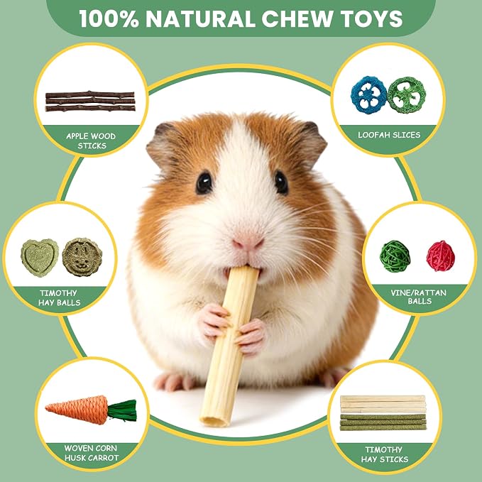 19 PCS Hamster Tubes and Wood Hamster Chew Toys, Natural Guinea Pig Chew Toys for Enrichment, Pet Cage Accessories for Syrian, Cage Accessories for Teeth Care & Boredom Relief (Pink Blue Green)