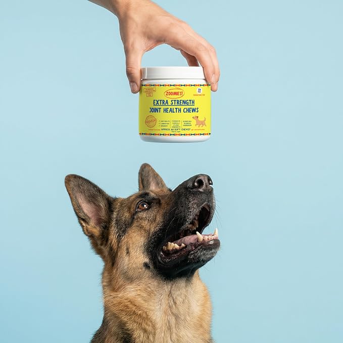 Zoomies Hip & Joint Supplement for Dogs - Soft Chews with Eggshell Membrane, Boswellia, MSM - Joint Support for Senior Dogs - Made in USA - 60 Chews