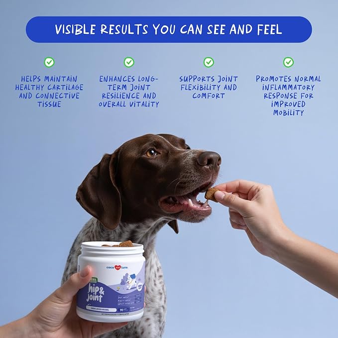 Hip & Joint for Dogs - Collagen, Glucosamine & Green Lipped Mussel | With Collagen, Glucosamine, Fish Oil & Green Lipped Mussel. Supports joint mobility & eases inflammation in dogs.