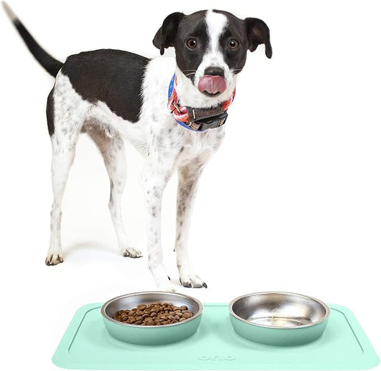 Ono Good Bowl Food & Water Double Feeder - Small to Medium Pets No Spill Non Skid Silicone Mat & Stainless Steel Bowls for Dogs or Cats (Mint)