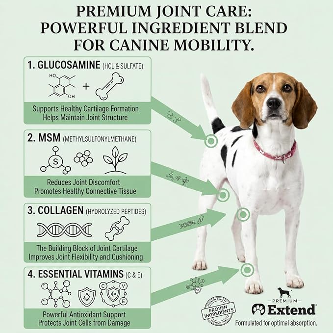 Extend Joint Support for Dogs Hip and Joint Supplement for Dogs Glucosamine Hip & Joint Support Arthritis Supplement, Support Healthy Joints, Mobility & Flexibility for All Dog Breeds - Made in USA