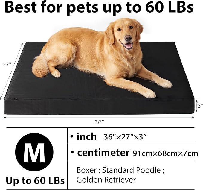 RRPETHOME 3" Indestructible Chew Proof Dog Beds for Aggressive Chewers,Durable Waterproof Fabic Chew Resistant Crate Dog Bed for Puppy Teething & Active Dog, Orthopedic Egg Foam（Black 36x27x3）