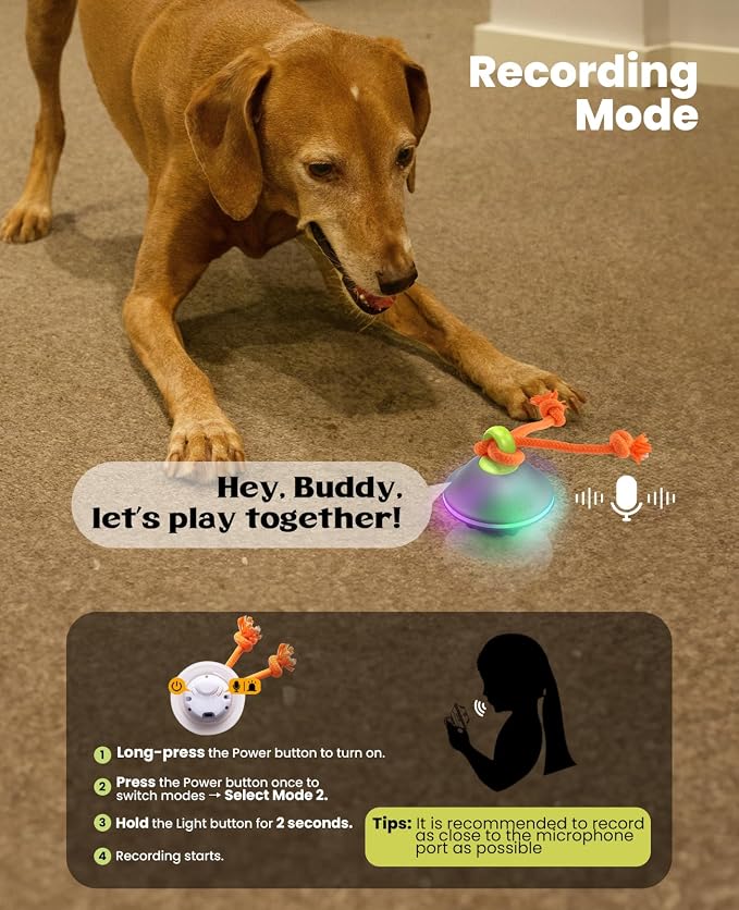 Xeuch Interactive Dog Toys, Automatic Moving and Rolling Dogs Ball with Rope, Motion-Activated Wicked Ball with Voice Recording for Small Medium Pup, Stimulation Toy for Boredom Relief