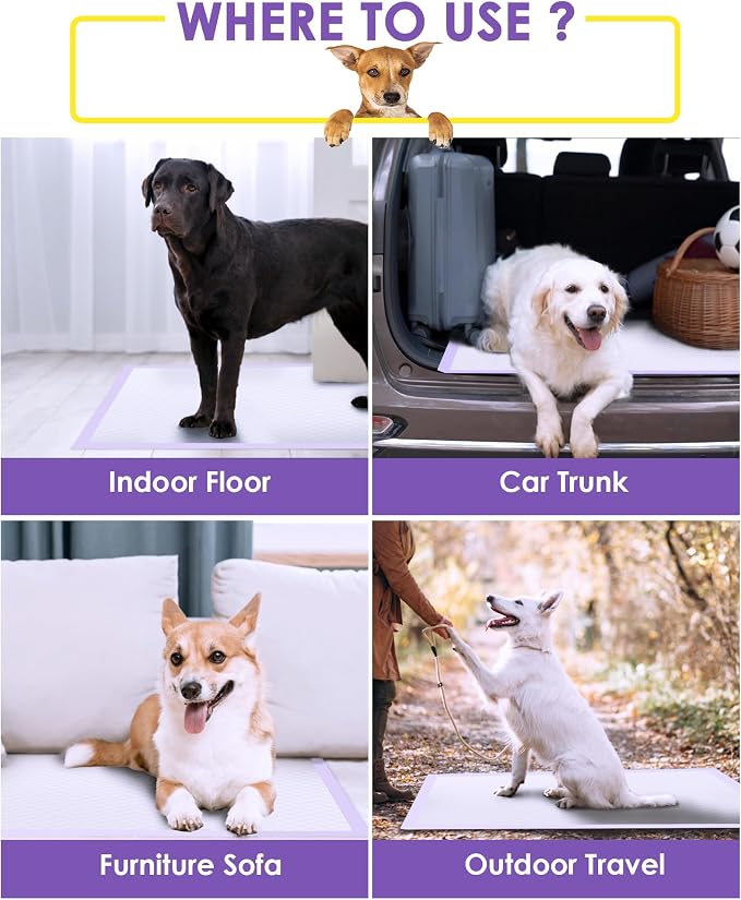 JollyMate Extra Large Dog Pee Pads 36"x36", 50 Counts Leak-Proof Heavy Absorbent Pee Pads for Dogs, Quick Dry Disposable Dog Training Pads