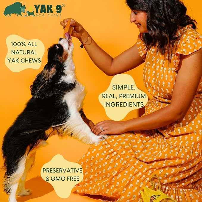 Yak9 Himalayan Yak Cheese Dog Chews, Strawberry | High Protein, Non Rawhide Dog Chews Long Lasting | Non GMO, Gluten Free, Grain Free Yak Milk Dog Chew | Medium Size (Breeds 15-30 Lbs), 2 PC