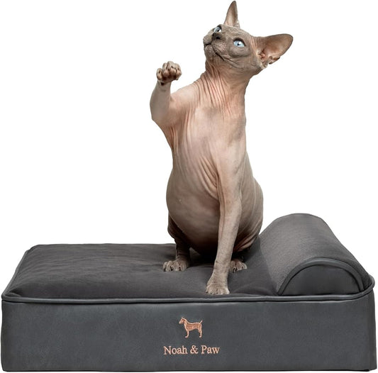 NOAH & PAW Small Dog Bed, 20x15x6.5 Inch, Cat Bed for Indoor Cats, Orthopedic Eggshell Memory Foam Infused with Cooling Gel, Water Resistant, Machine Washable, Includes Inner Cover (Faux Leather)