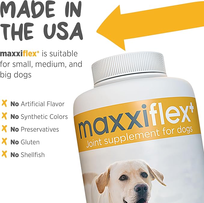 maxxipaws - maxxiflex+ Hip & Joint Supplement for Dogs with Glucosamine, Chondroitin, MSM & Collagen | Mobility, Flexibility & Discomfort Support | Senior, Adult & All Breeds | 120 Tablets