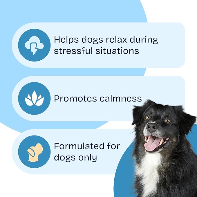 Calming Aid for Dogs – 60-Count Soft Chews with Melatonin, Chamomile & L-Tryptophan – Promotes Relaxation During Stressful Events – Vet Recommended Calming Supplement – Made in USA