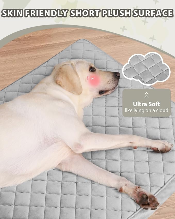 NUPIDA Orthopedic Dog Beds for Small Dogs Waterproof with Removable Washable Cover and Non-Slip Bottom, Quilting Dog Bed for Crate, 23x17 Inch, Light Gray