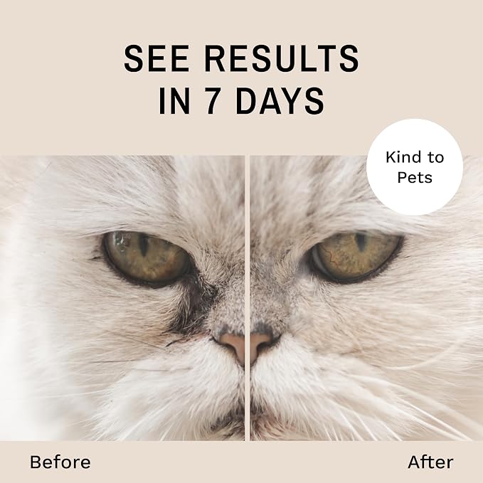 Eye Envy Cat Tear Stain Remover Starter Kit. Gentle, Natural, Safe. Contains: Stain Solution, Applicator Pads, and Stain Powder. Tear Stain Cleaning Kit. Lasts 30-45 Days. Made in USA