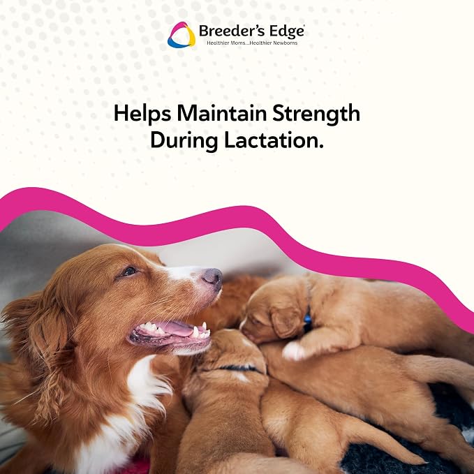 Breeder’s Edge Oral Cal Plus Powder, Calcium & Vitamin D₃ Whelping Supplement for Nursing Dogs and Cats, Supports Healthy Bones, Teeth & Lactation, 1kg