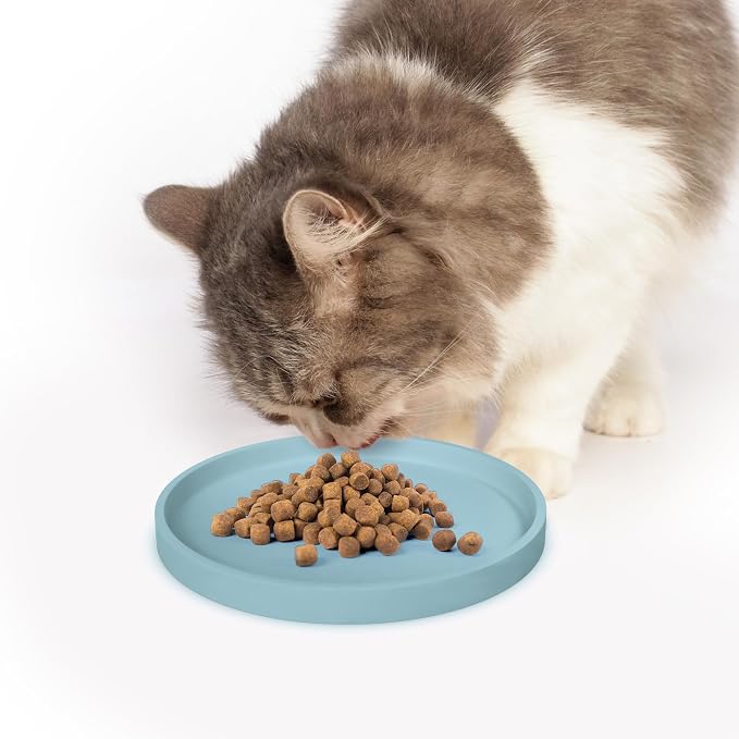 Arespark Pet Silicone Food Mat, 6in x 6in Set of 4 Nonslip Waterproof Feeding Bowl Mat with Raised Edges for Food and Water Prevent Spills, Round Eating Tray for Dog Cat Puppy Kitten (Light Blue)