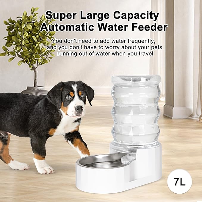 RIZZARI 6.5L Stainless Steel Pet Water Dispenser – Gravity Auto-Refill Waterer with Ion Exchange & Activated Carbon for Cats & Small Dogs, Spill-Resistant for Homes & Indoor Pet Spaces