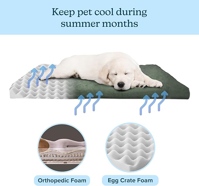 PETMAKER Dog Bed with Removable Cover â€“ 44x35 Pet Bed - 3-Inch Egg Crate Style Foam Orthopedic Dog Bed, Microsuede, and Non-Slip Crate Pad (Forest)
