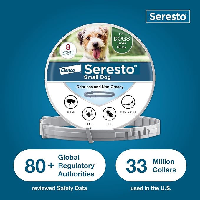 Bundle of Seresto Small Dog Vet-Recommended Flea & Tick Treatment & Prevention Collar for Dogs Under 18 lbs. | 8 Months Protection + Pet Protect Vet-Formulated Daily Multivitamin for Dogs | 60 Chews