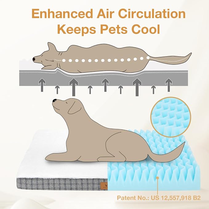 Orthopedic Dog Bed for Large Sized Dogs with Removable Washable Cover, Premium Comfort for Dogs, Multiple Sizes & Colors,Durable and Easy to Clean (Grey, Medium)