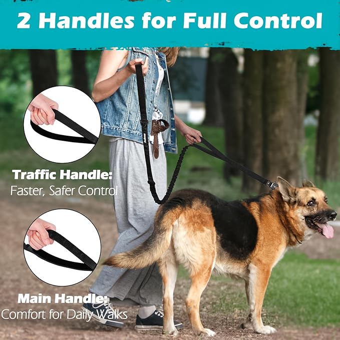 PetBonus Heavy Duty Tactical Dog Leash and 2-Pack Large Silicone Collapsible Dog Bowls