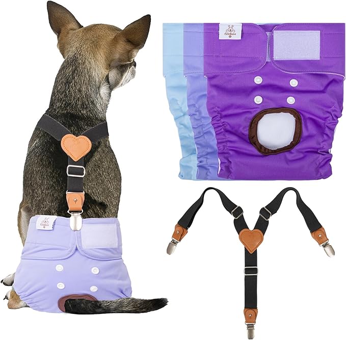 CuteBone Dog Diapers Female 3 Pack Reusable Doggy Diapers with One Suspender for Small Medium Large Dog Period BDD01S
