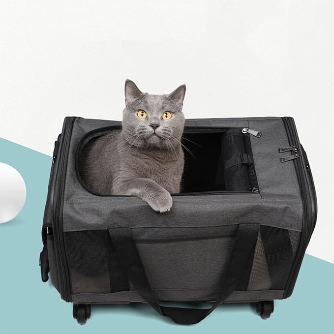 Cat Carrier, Airline Approved Dog Carrier with Wheels, Pet Carrier for Pet with Telescopic Walking Handle,Easy to Fold for Small Cats and Dogs