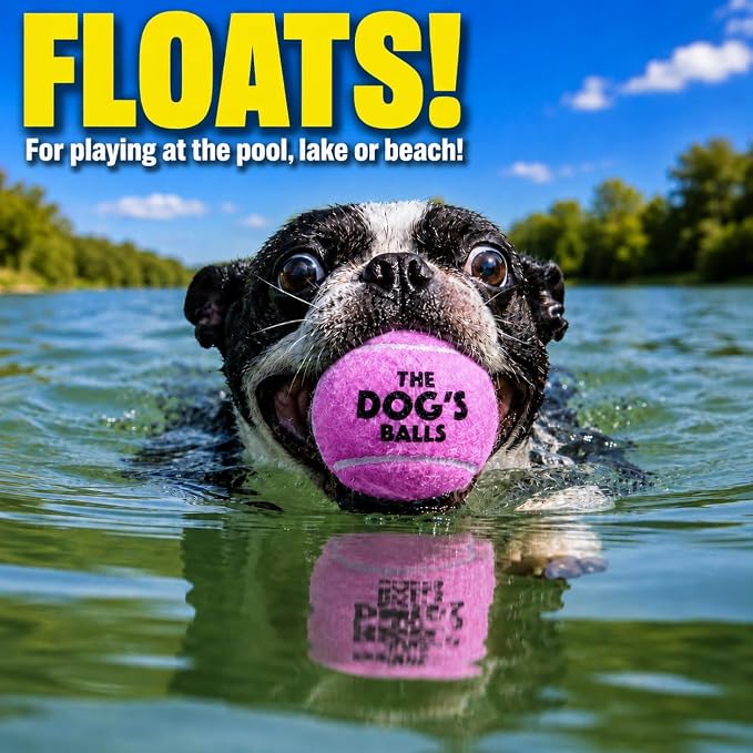 The Little Dog’s Balls Small Dog Tennis Balls 6-Pack Lilac Floats in Water | Our fetch balls combine non-abrasive felt exterior and a thicker rubber core Durable Dog Toy for Outdoor Play & Training