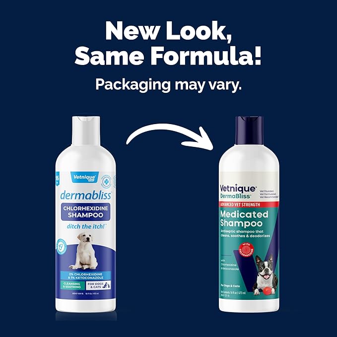 Vetnique Dermabliss Medicated Dog Shampoo with Chlorhexidine for Dogs & Cats, Ketoconazole Antibacterial Antifungal, Dog Yeast Infection Treatment, Hot Spot & Itchy Skin Relief, Cat Shampoo, 16 oz
