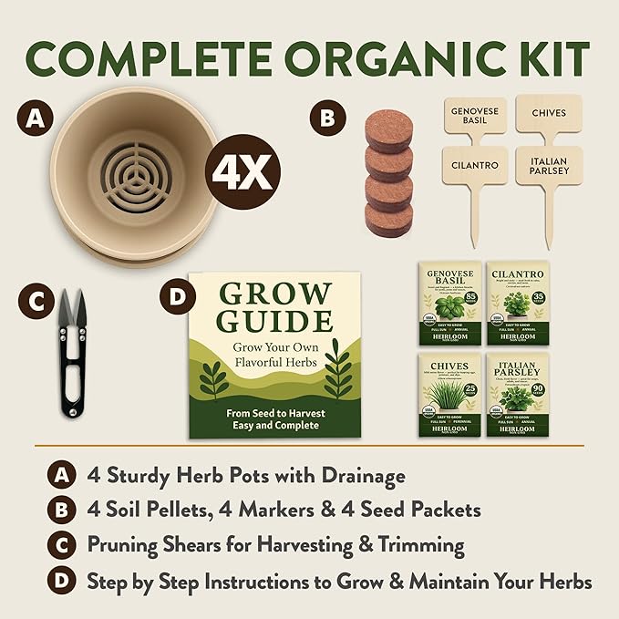 HOME GROWN 12,000+ Wheatgrass Seeds & HOME GROWN Indoor Organic Herb Garden Kit – Unique Christmas Gift for Adults, Men, & Women - Grow 4 Herb Seeds