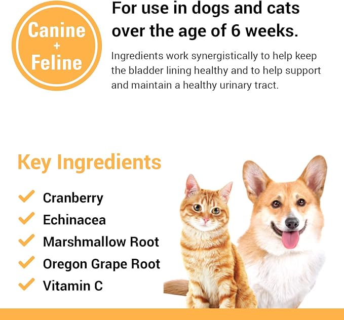 Vet Classics Cranberry Comfort Urinary Tract Pet Supplement for Dogs, Cats – Maintains Dog Bladder Health, Cat Bladder Control – Pet Supplements for Incontinence – 3.5 Powder