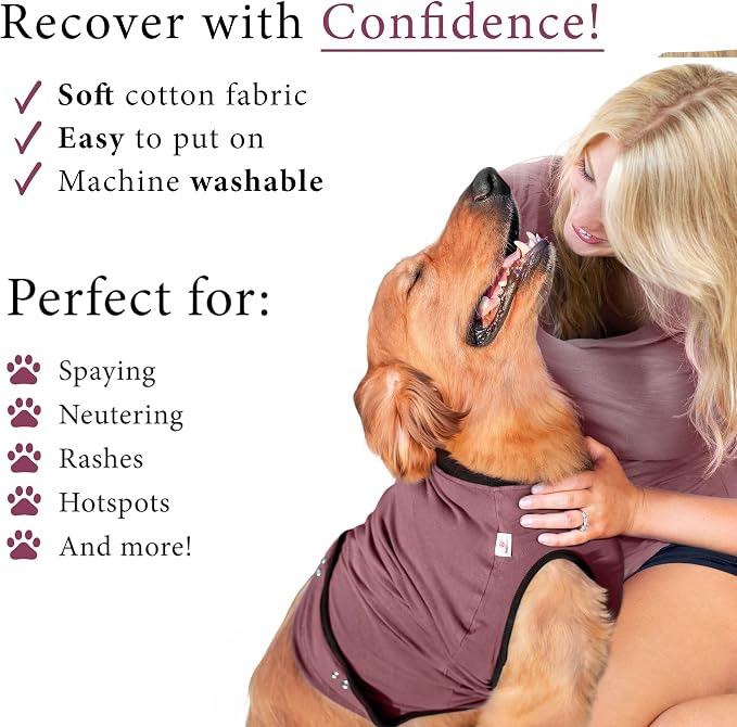 BellyGuard Dog Surgery Recovery Suit, Post-Op Dog Recovery Suit for Female Spay & Male Neuter, Comfy Onesie for Pets, Surgical Body Cover for Canine Healing Support
