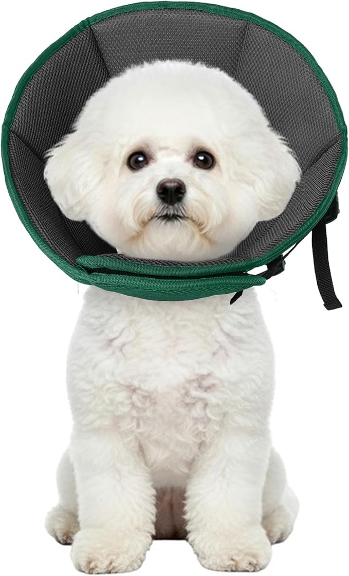 Allroaring Small Dog Cone, Soft Recovery Collar to Stop Licking,Green S | Breathable Fabric; Hot Spots & Allergies Protection; Wound Healing; Adjustable Secure Fit; Foldable; Spay and Neuter