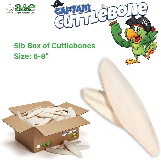 A&E Cage Company Captain Cuttlebone AE9012 Natural Bird Cuttlebone – 5lb Bulk Box of 6–8" Cuttlebone Pieces – Calcium Supplement for Parakeets, Budgies, Finches, Canaries, Lovebirds & Small Birds