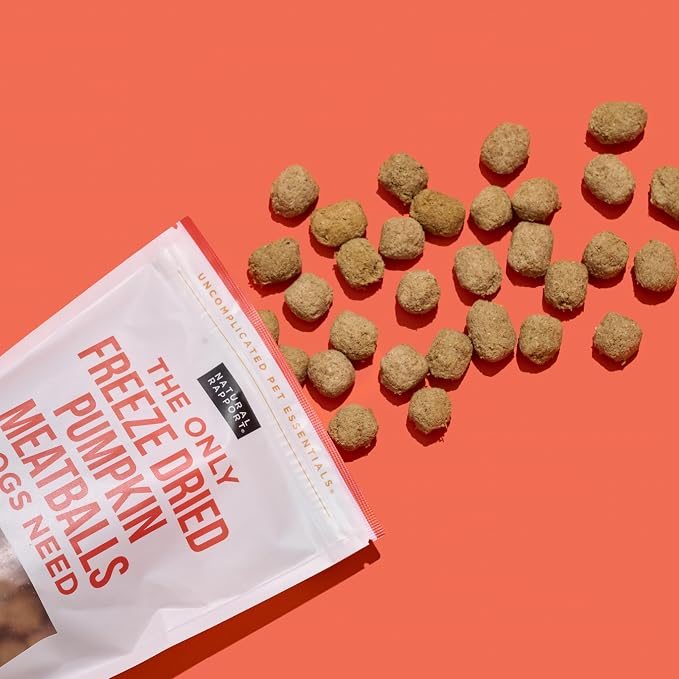Natural Rapport Freeze Dried Pumpkin Meatballs Dog Treats - Beef, Turkey & Pumpkin, Limited Ingredient for Sensitive Stomachs (4 oz) (30+ Treats)
