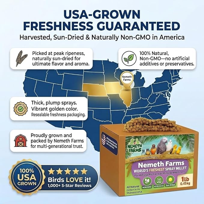 Nemeth Farms Spray Millet - Edible Tops Only, Non-GMO and Sun-Dried - 1 lb for Parakeets, Canaries and Finches