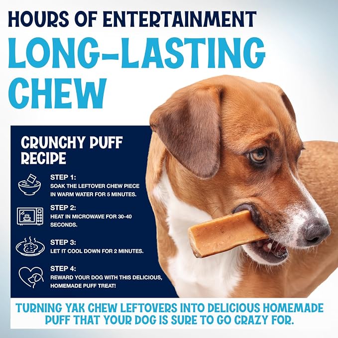 Himalayan Yak Cheese Chews - Natural Dog Bones - Yak Cheese Himalayan Dog Chews – Long Lasting Himalayan Dog Cheese Chew - Yak Chews for Large, Medium and Small Dogs (Medium, 3lb Bag)