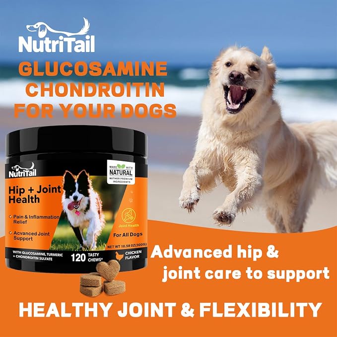 Hip & Joint Health Soft Chews for Dogs – Glucosamine, Turmeric, Omega-3 & Chondroitin – Natural Joint Supplement for Mobility, Pain & Inflammation Relief – Chicken Flavor, 120 Soft Chews