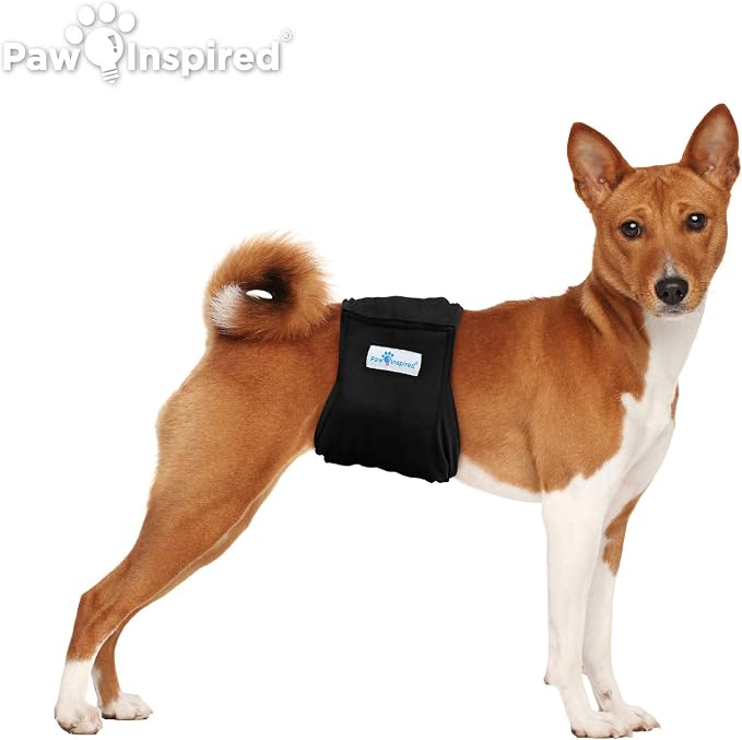 Paw Inspired 3-Count Reusable Male Dog Wraps, Washable Diapers for Male Dogs, Belly Bands for Incontinence, Surgery, Male Marking (Medium Size, Black Color with Black Lining, Pack of 3)