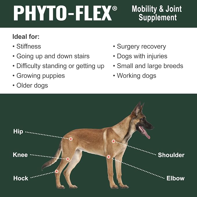 Dogzymes Phyto Flex - Glucosamine, Chondroitin, MSM and Hyaluronic Acid… (8 Ounce)