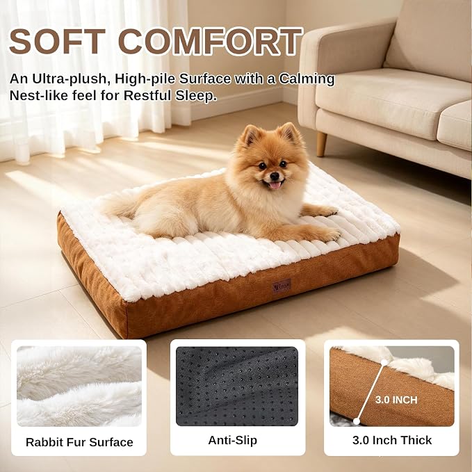 Orthopedic Dog Bed with Firm High-Density Egg Crate Foam,Soft Short Plush Surface Pet Beds,Machine Washable with Removable Cover & Non-Slip Bottom for Medium Breeds (Brown, 29" L x 18" W x 3" H)
