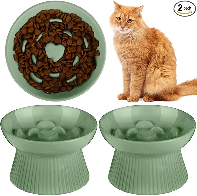 Tioncy 2 Pcs Raised Cat Slow Feeder Bowl Ceramic Elevated Cat Dog Food Bowl No Spill High Edge for Dry Wet Food and Water Easy to Clean, Dishwasher Safe(Sage Green)