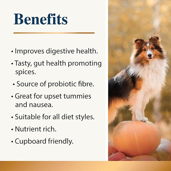 Pumpkin Spice Whole Food Supplement Topper for Dogs 200g (3 Pack) | Pumpkins Powder with Added Gut Healthy Spices | Pumpkin Spices| Fibre Rich, Prebiotic, Anal Gland Health| Scooting (200g)