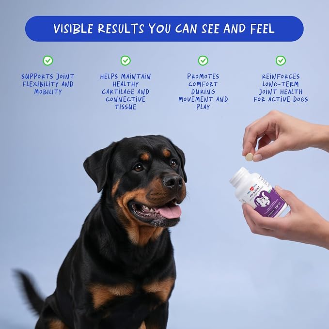 Hip & Joint for Dogs 120 Tablets - Glucosamine, MSM & Chondroitin | Glucosamine, Chondroitin & MSM formula. Supports hip & joint health, eases inflammation & acts as antioxidant.