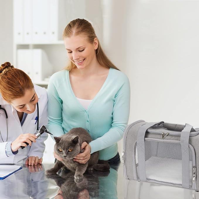 Pnimaund Large Pet Carrier, Soft Sided Cat Carriers for Large Cats Under 20 lbs, Soft Dog Carriers for Medium Dogs Small Dogs, Collapsible Cat Carrier for 2 Cats Travel Carrier - Grey