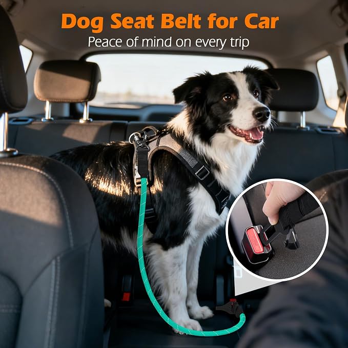 PetBonus Dog Seat Belt for Car and 2-Pack Silicone Collapsible Dog Bowls