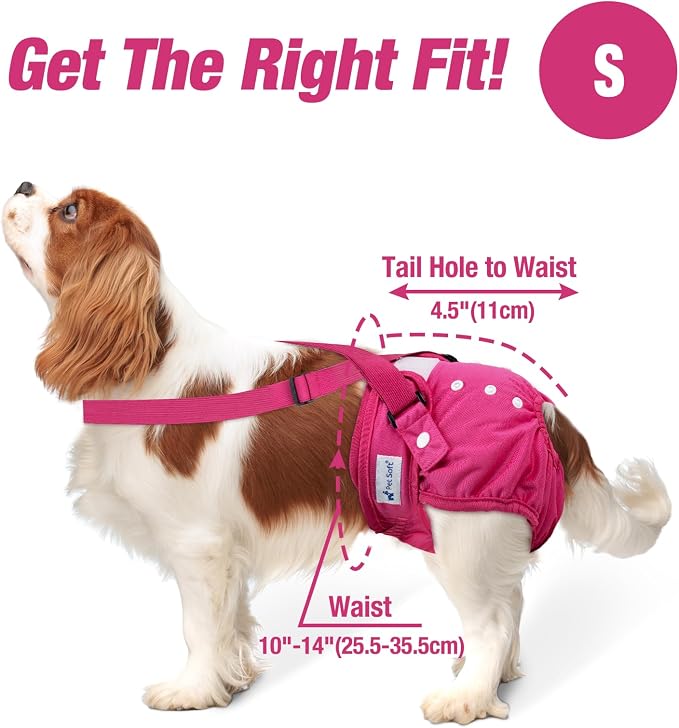 Pet Soft Dog Diapers Female with Suspenders, 3 Pack Reusable Female Dog Diapers for Heat, Dog Period Panties for Doggie in Cycle(Small, Berry Mix)